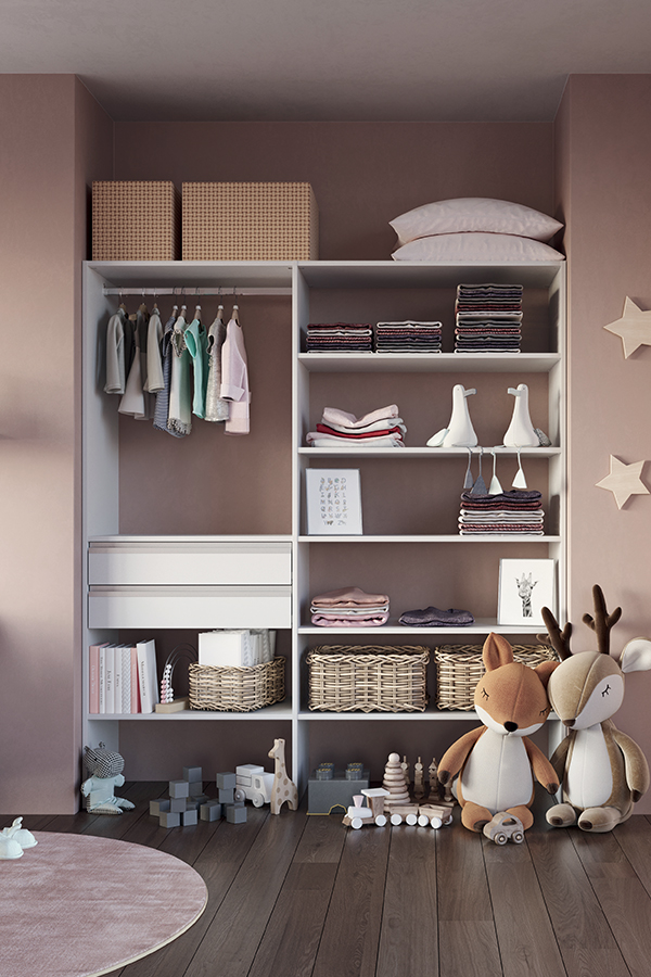 Placard et dressing coulidoor 05